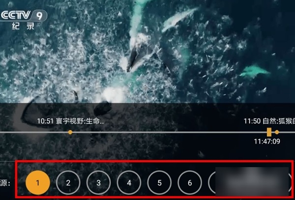 HDP直播app怎么看超清图片3