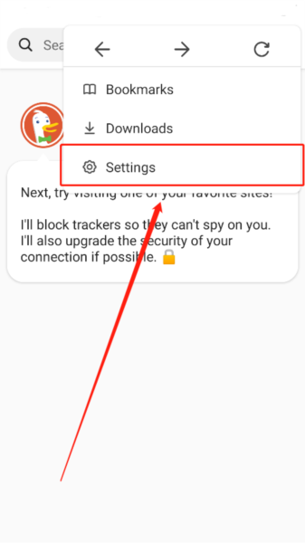 DuckDuckGo搜索引擎软件怎么设置中文截图1