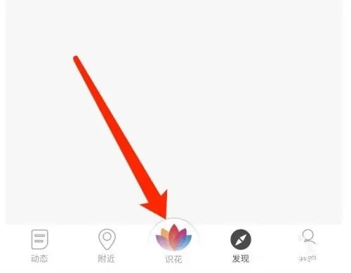 花伴侣app如何识别1