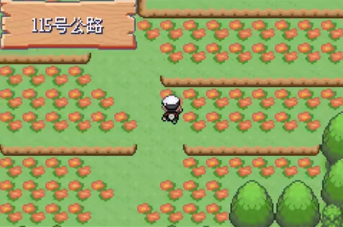 圆陆鲨在哪抓配图2