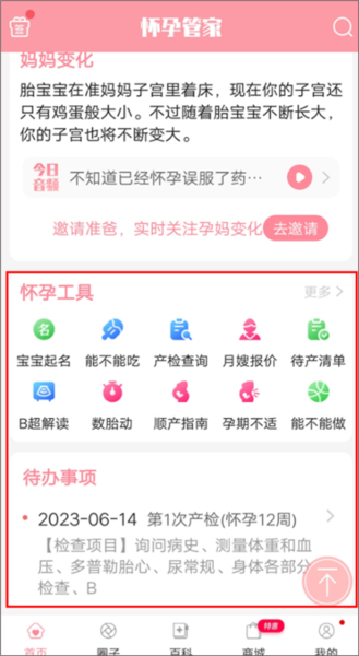 孕期记录指南配图5