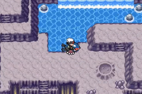 圆陆鲨在哪抓配图4