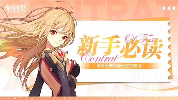 命运圣契新手必读配图1