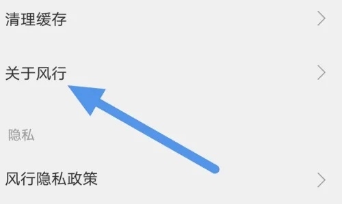 风行视频app怎么升级到最新版本3