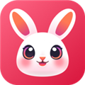 兔玩