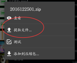 Zarchiver pro怎么解压百度网盘文件图片4