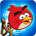 愤怒的小鸟朋友版