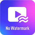 一键去水印下载
