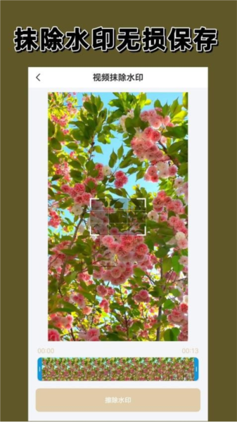 去水印大师图片3