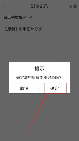 清除浏览记录指南配图4