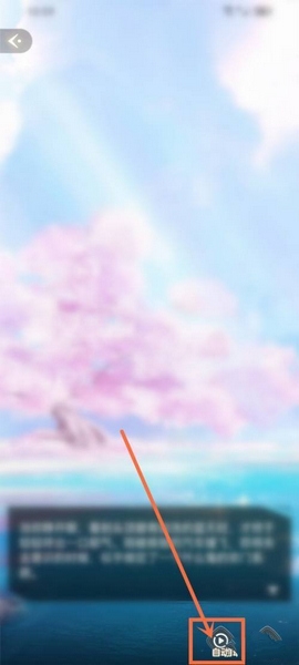 点点穿书app自动播放设置教程图片2