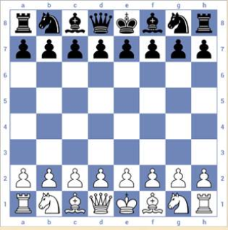 3d国际象棋游戏规则和走法攻略1