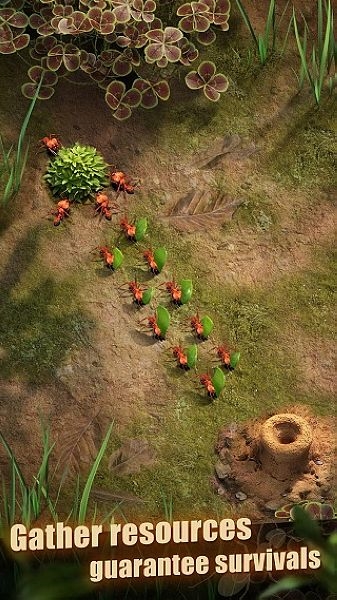 蚂蚁地下王国图片1