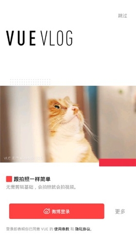vuevlog破解版图片3