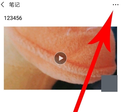 vuevlog破解版图片36