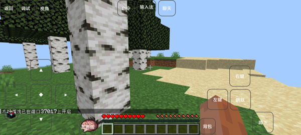 我的世界雾中人怎么联机截图2