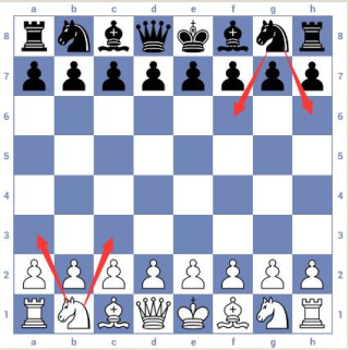 3d国际象棋游戏规则和走法攻略11