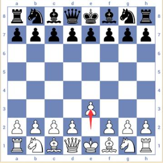 3d国际象棋游戏规则和走法攻略2