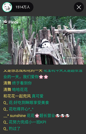 熊猫频道app怎么看直播