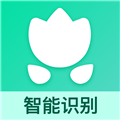 识别植物