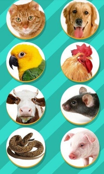 Pet Translator图片