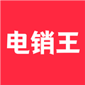 电销王
