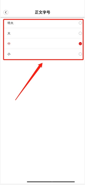 正文字号设置教程4