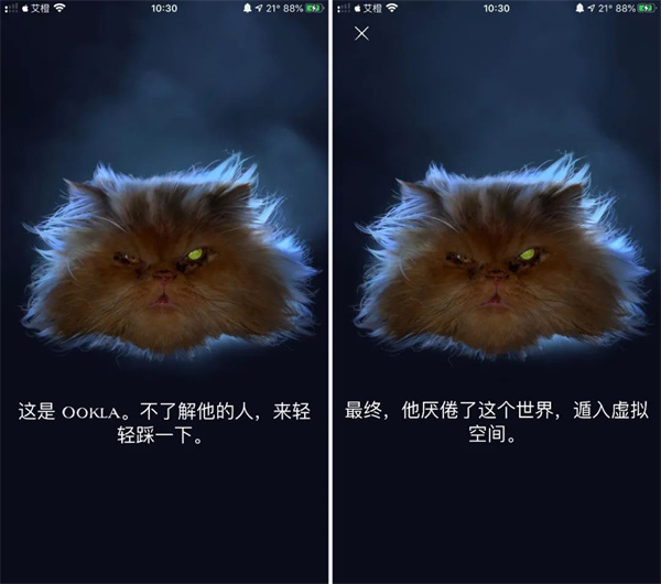 Ookla Speedtest使用指南图片6
