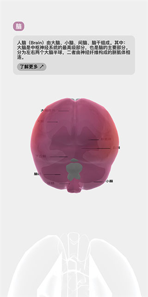 生命游戏图片15