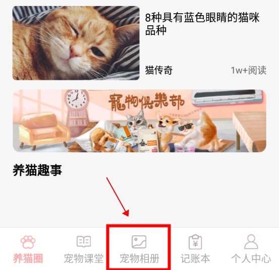 遇见我的猫怎么在宠物相册中上传照片1