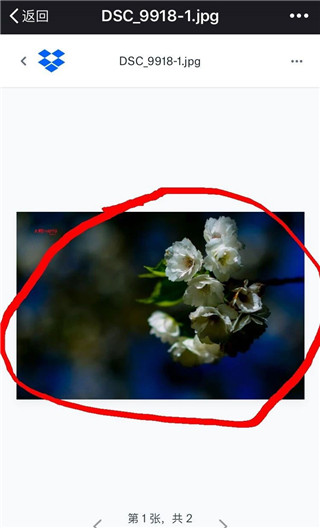 Dropbox软件截图5