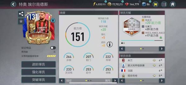 fifa足球世界图片13