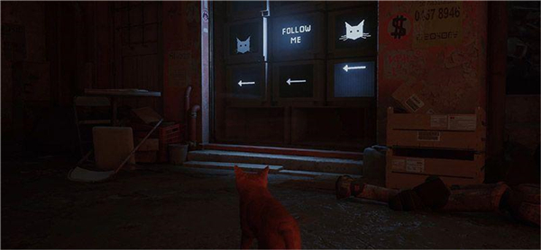 迷失Stray第2章死城攻略图片4