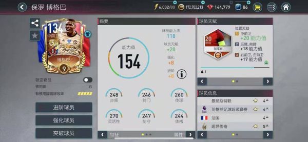 fifa足球世界图片10