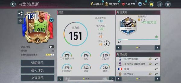 fifa足球世界图片14