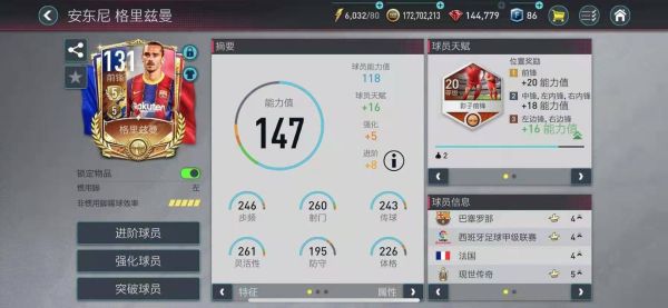 fifa足球世界图片7