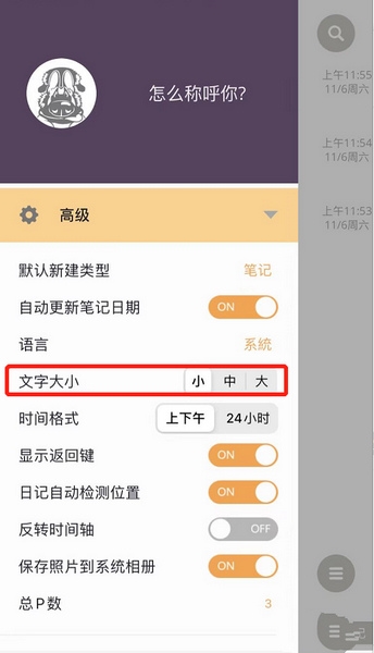 文字大小设置教程4