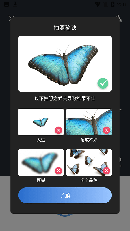 Picture Insect中文破解版下载