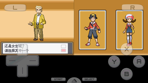 口袋妖怪心金新手攻略图片5