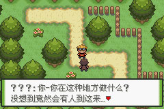 口袋妖怪釉色新手教程图片3