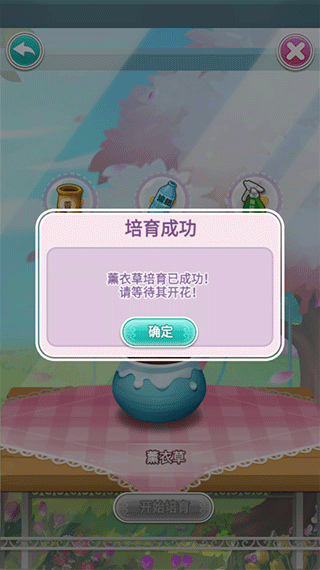 鲜花小镇怎么进行培育图片4