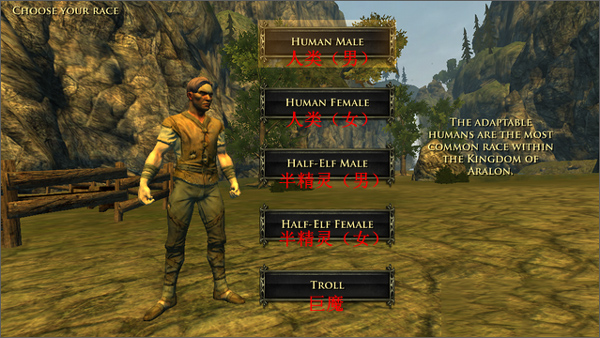 阿瓦隆炉之火新手入门攻略图片1