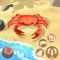 寄居蟹模拟战