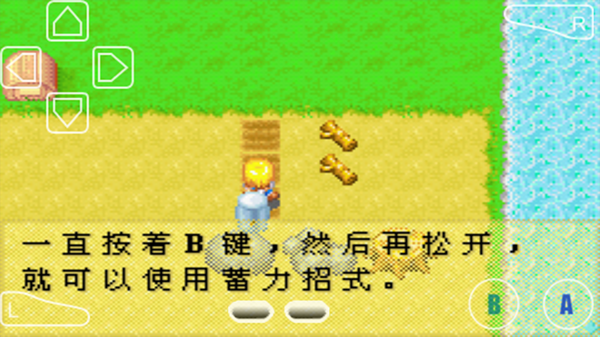 牧场物语女孩版农作物种植教程图片3