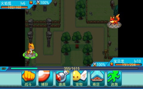 宠物王国6烈火截图
