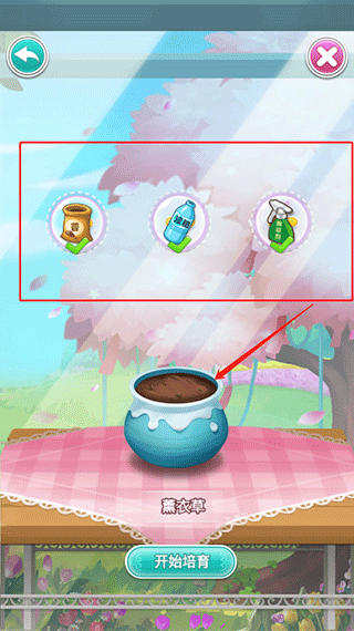 鲜花小镇怎么进行培育图片3