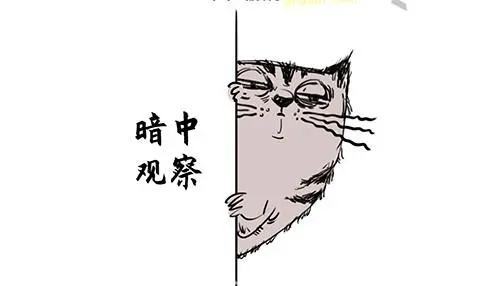 最强大脑3游戏攻略图片4