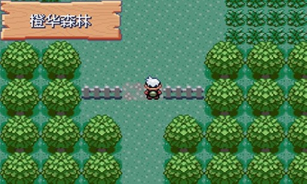 口袋怪兽绿宝石手机版中文版图片