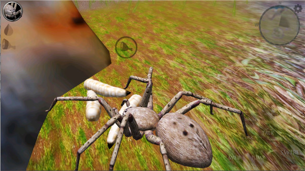 终极蜘蛛模拟器2新手攻略图片3