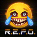 repo